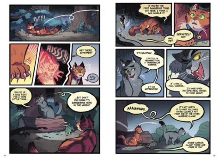 Who is Firepaw's mentor?