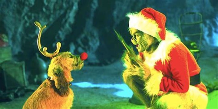 Who Is Grinch's best friend?