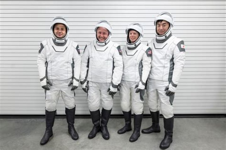 Who is in spacex?