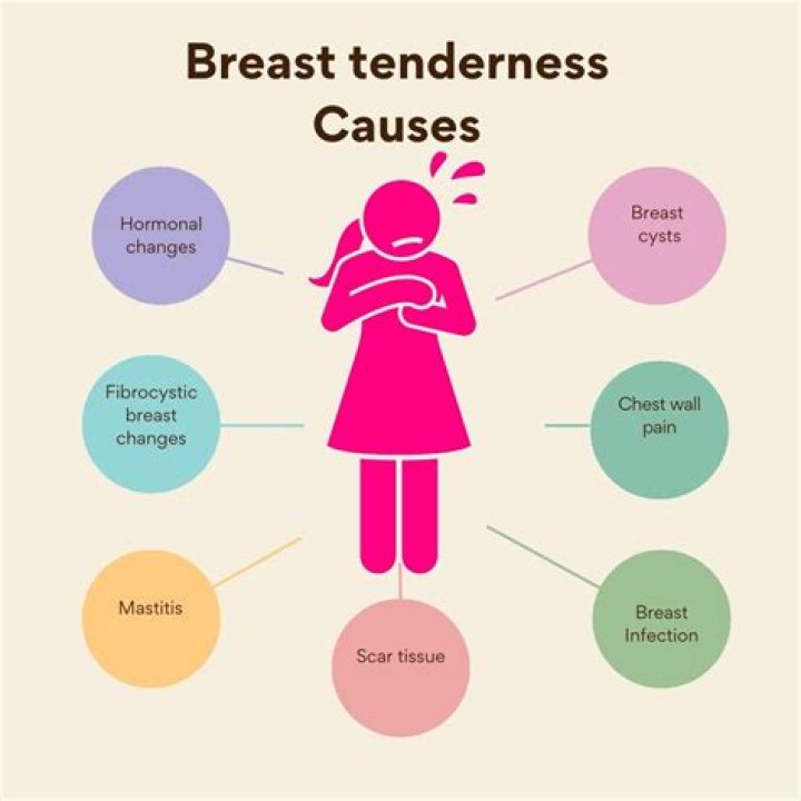 Why are human breasts so large?