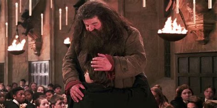 Why did Hagrid remove the stone from the vault?