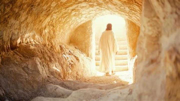 Why didn't Harry use the Resurrection Stone to bring back his parents?