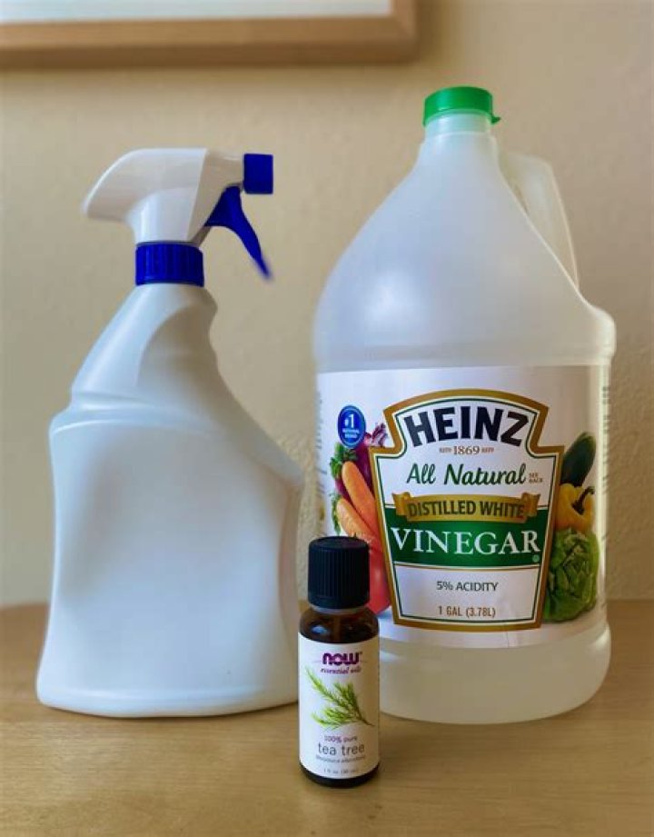 Why do you spray vinegar around your windows?