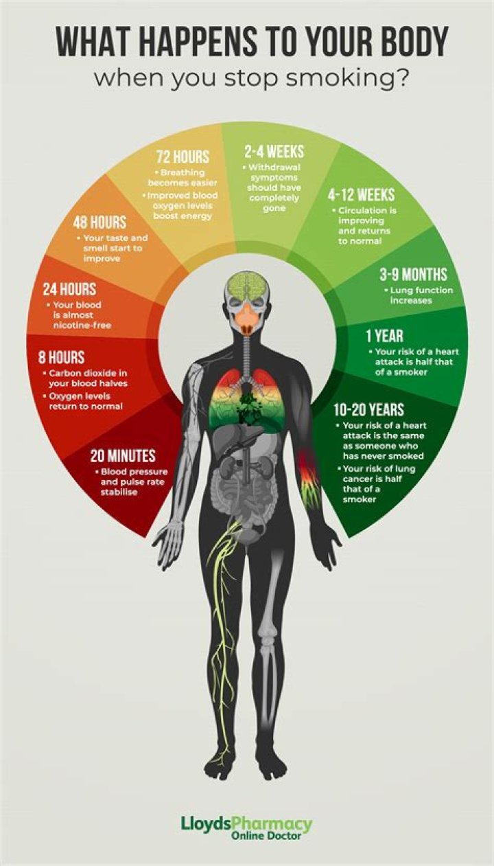 Why does smoking after eating feel good?