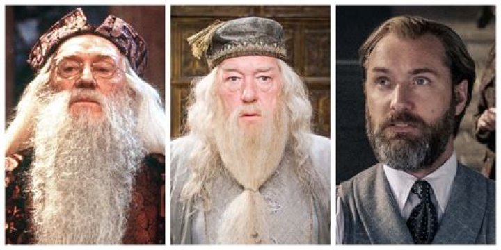 Why is Dumbledore's hand Black in the movie?