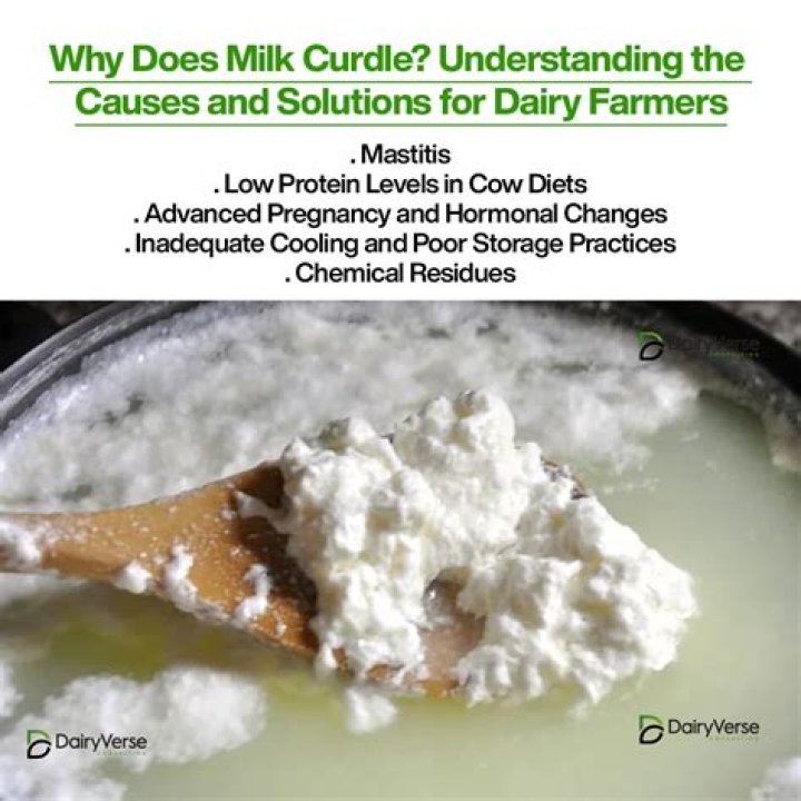 Why is milk curdling in the fridge?