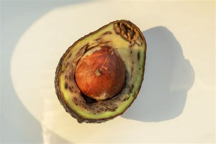 Why is my avocado seed turning red?