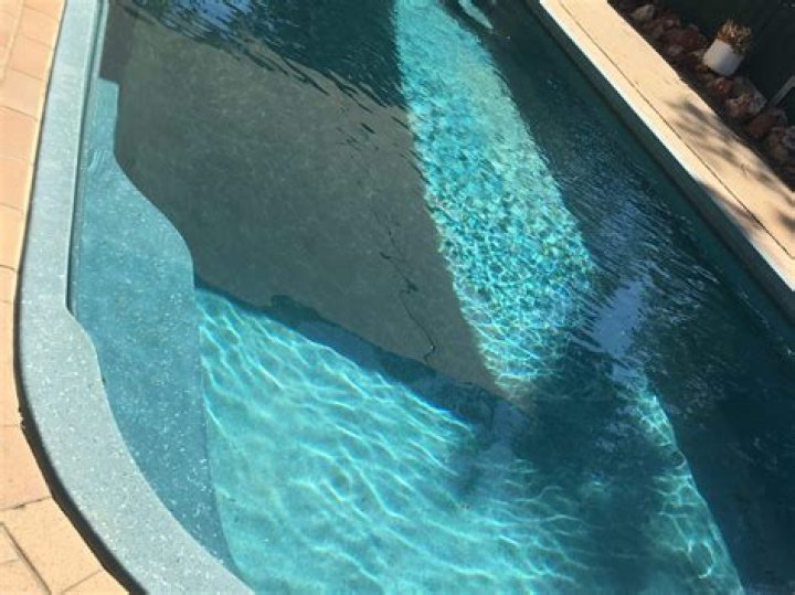 Why is my pool dark blue?