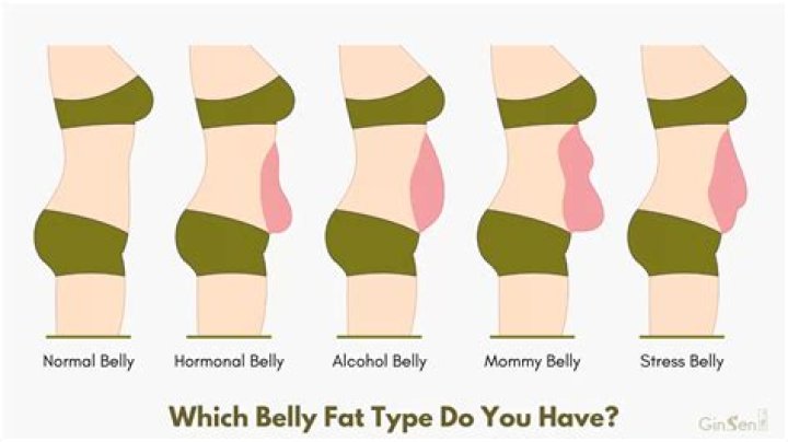 Why is my stomach fat hard and not soft?