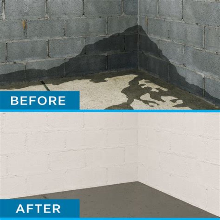 Will Drylok stop efflorescence?