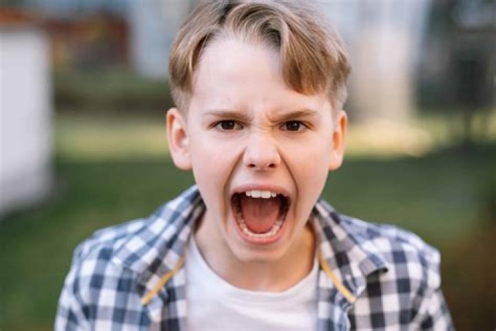 Will my toddler remember yelling?